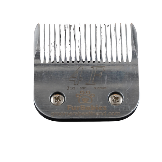 FurBabies #4F Full Teeth