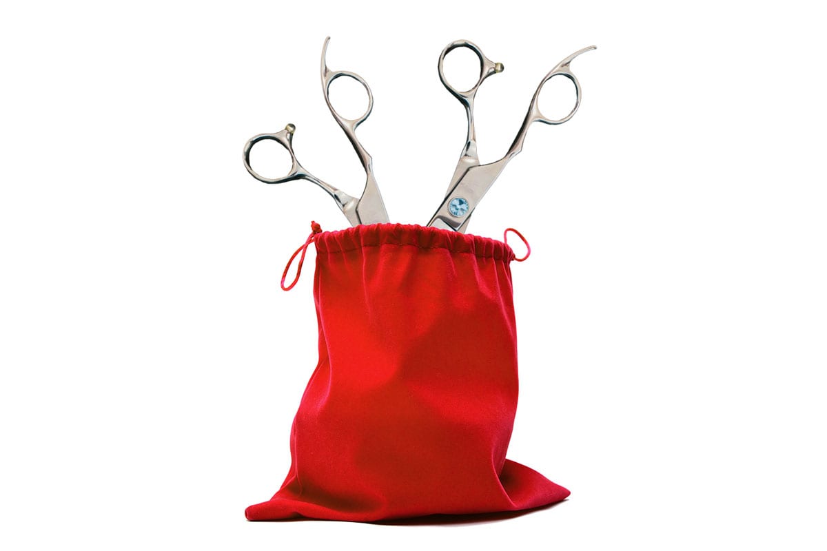 Two Shear Grab Bag