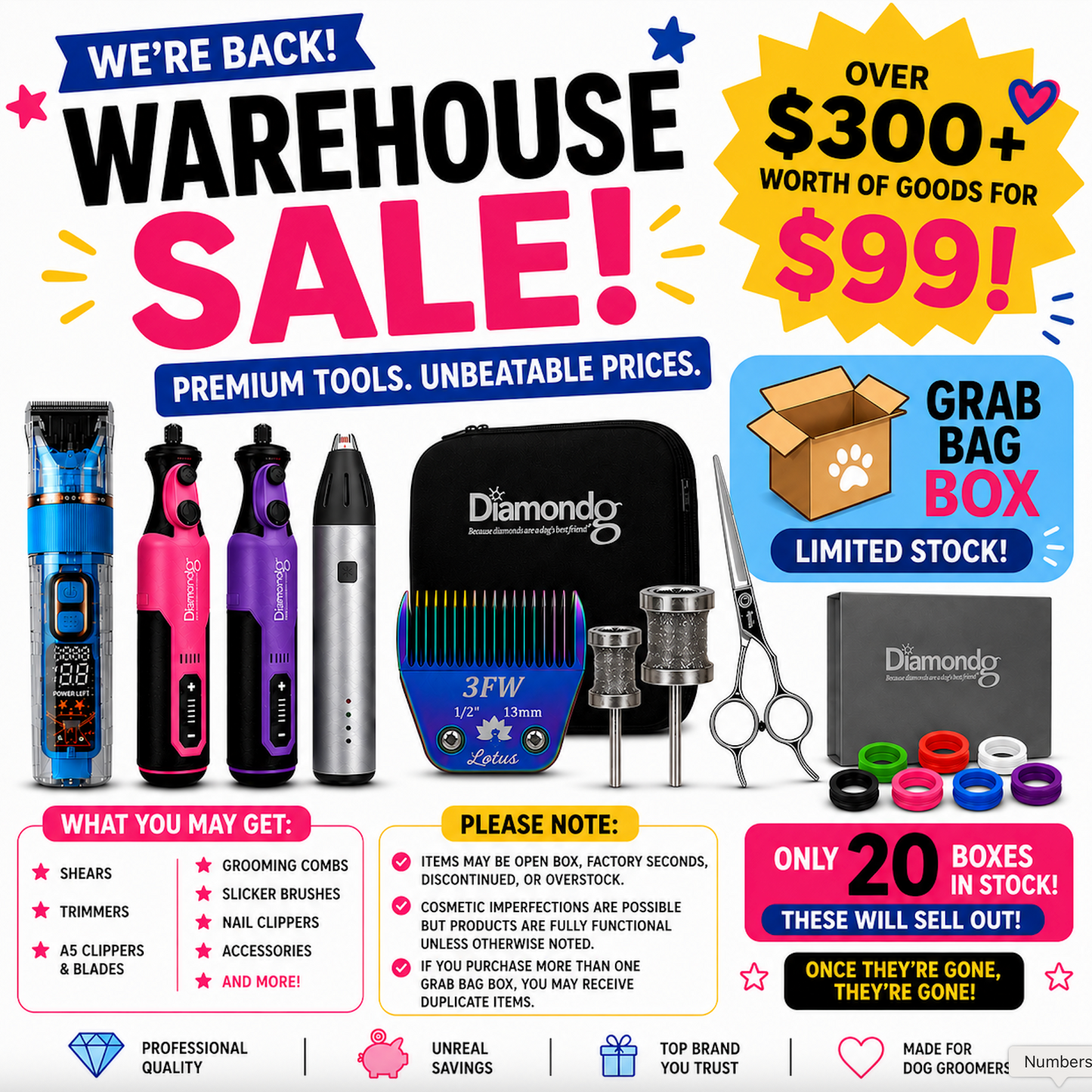 Warehouse Grab Bag Box | $300+ Value for Only $99