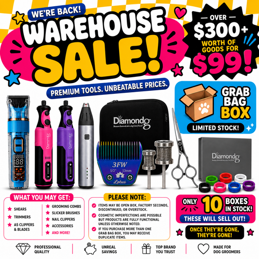 Warehouse Grab Bag Box | $300+ Value for Only $99